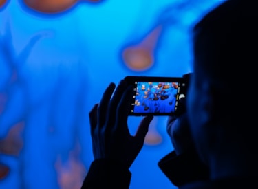 En person filmar ett akvarium, bilden är mörk.